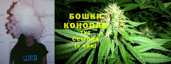 2c-b Пересвет