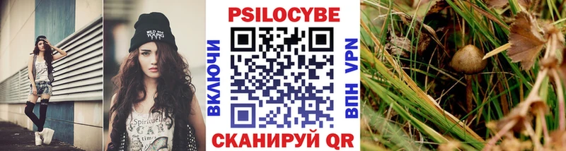 Галлюциногенные грибы прущие грибы Гулькевичи